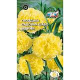 Гвоздика Мария Шабо жёлтая 0,1г ЦП СеДеК (10)