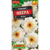 Георгин Опера белая 7шт ЦП Аэлита (10)