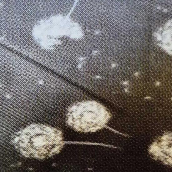 Кровать раскладная 1920*650*300 мм до 120 кг толщина матраца 6 см Стефания Olsa (1/4) - 1