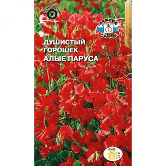 Душистый Горошек Алые Паруса красный 1г лиана 2-3м ЦП СеДек (10) - 1