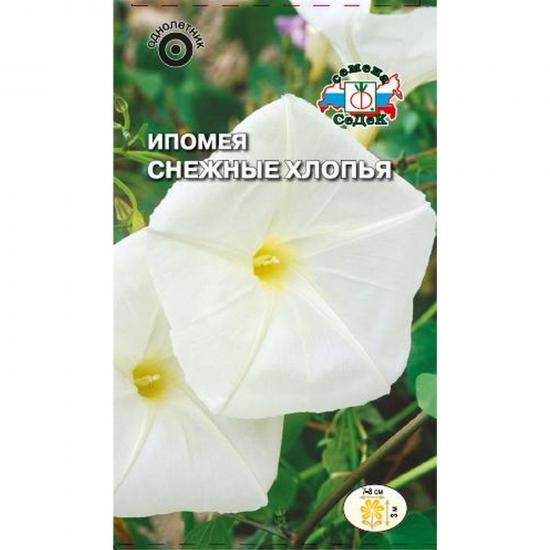 Ипомея Снежные Хлопья вид шиповатая белая 1г БП СеДек (10) - 1
