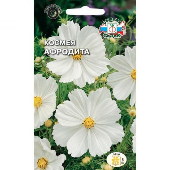 Космея Афродита бипиннатус белая ЦП СеДек (10) - 1