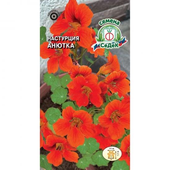 Настурция вьющаяся Анютка махровая 1г ЦП СеДеК (10) - 1