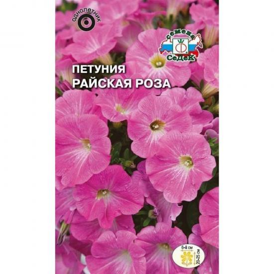 Петуния Райская роза компактная ярко-розовая 0,01г ЦП СеДеК (10) - 1