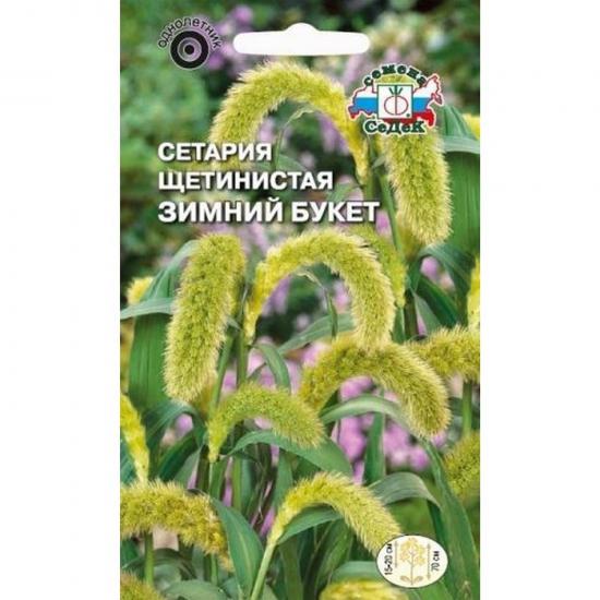 Сетария Зимний букет щетинистая сухоцвет 0,5г ЦП СеДеК (10) - 1