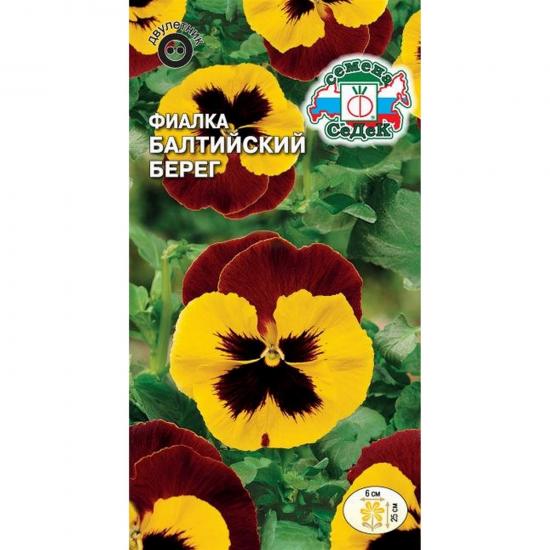 Фиалка Балтийский берег 5шт красно-жёлтая ЦП СеДеК (10) - 1