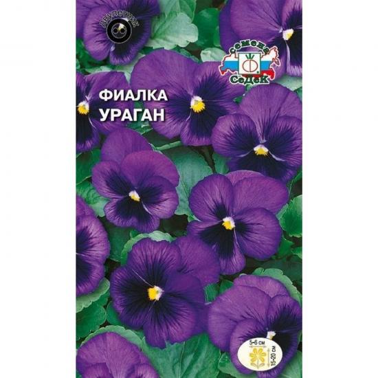 Фиалка Ураган Витрокка темно-синяя с черным пятном 0,05г ЦП СеДеК (10) - 1