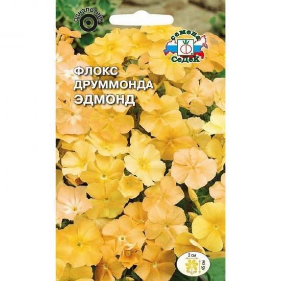 Флокс Друммонда Эдмонд крупноцветковый крем-жёлт 0,2г ЦП СеДеК (10) - 1
