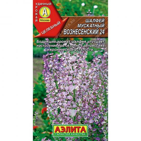 Шалфей мускатный Вознесенский 24 0,2г ЦП Аэлита (10) - 1