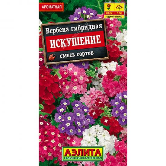Вербена Искушение, смесь сортов 40шт ЦП Аэлита (10) - 1