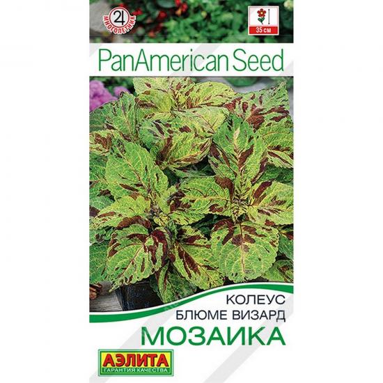 Колеус блюме Мозаика 5шт ЦП Аэлита (10) - 1