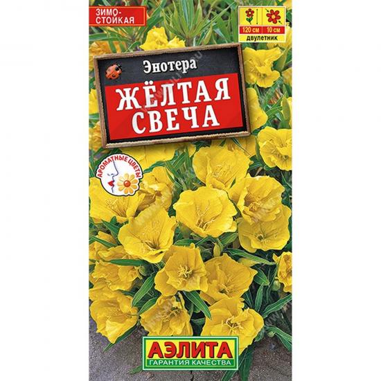 Энотера Желтая свеча 0,2г ЦП Аэлита (10) - 1