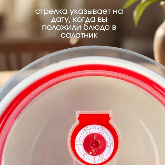 Набор салатников фарфоровых 3шт с вакуумной крышкой Коралл (1/24) - 1